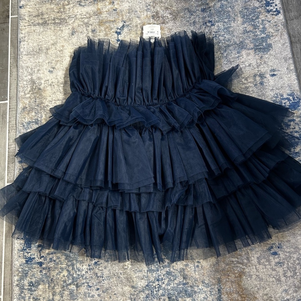 Blue Altar’d State Tulle Dress